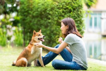 犬と遊ぶ女性